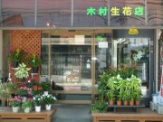 「木村生花店」　（茨城県石岡市）の花屋店舗写真1
